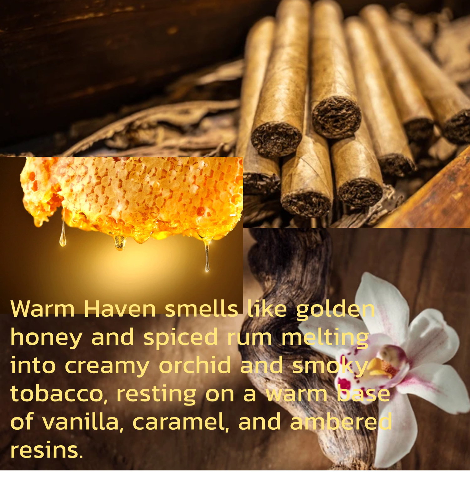 Warm Haven Eau de Parfum – Honey, Cinnamon, Woody