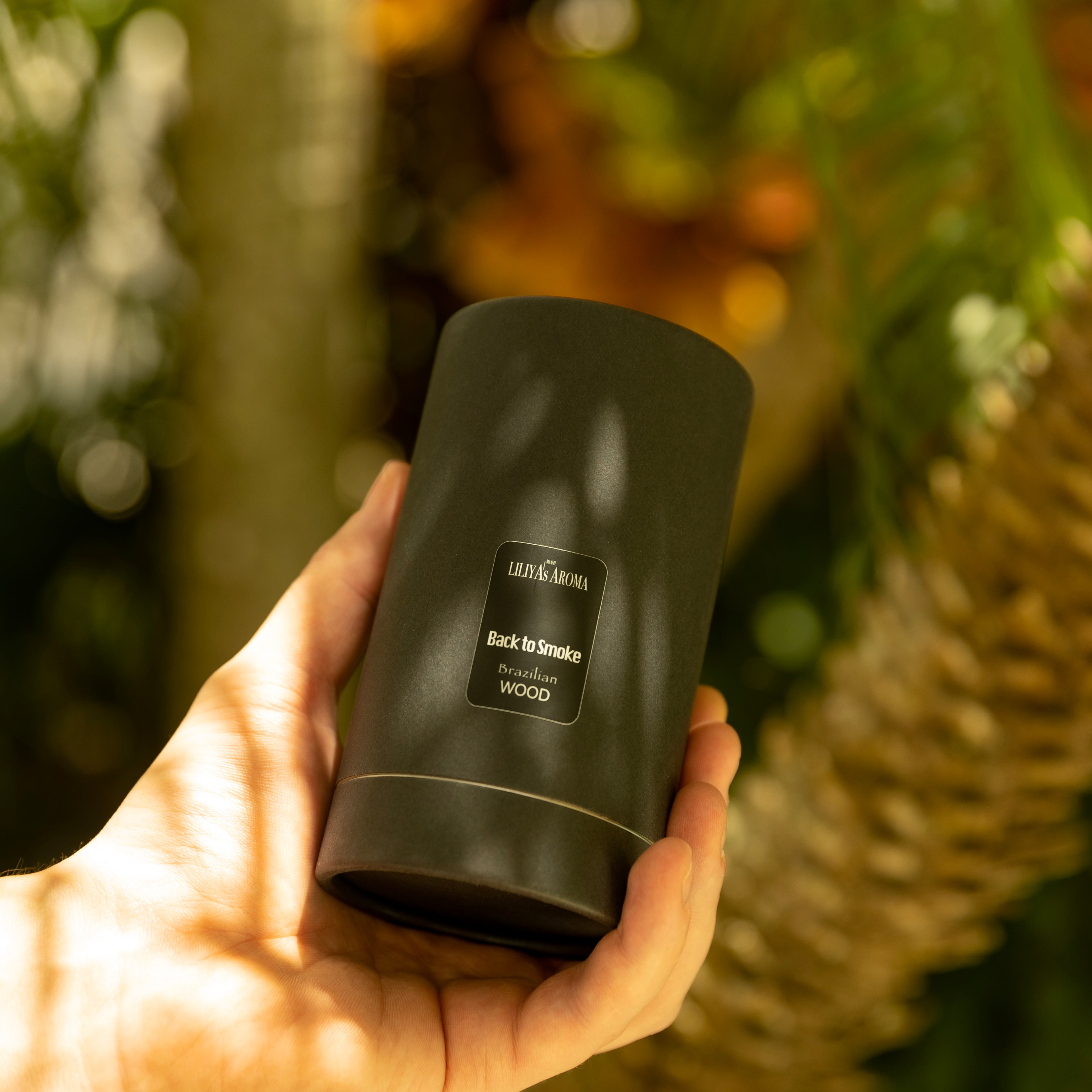 Brazilian Wood Eau de Parfum for Men - Tropical Woody Scent 3.4 Fl Oz