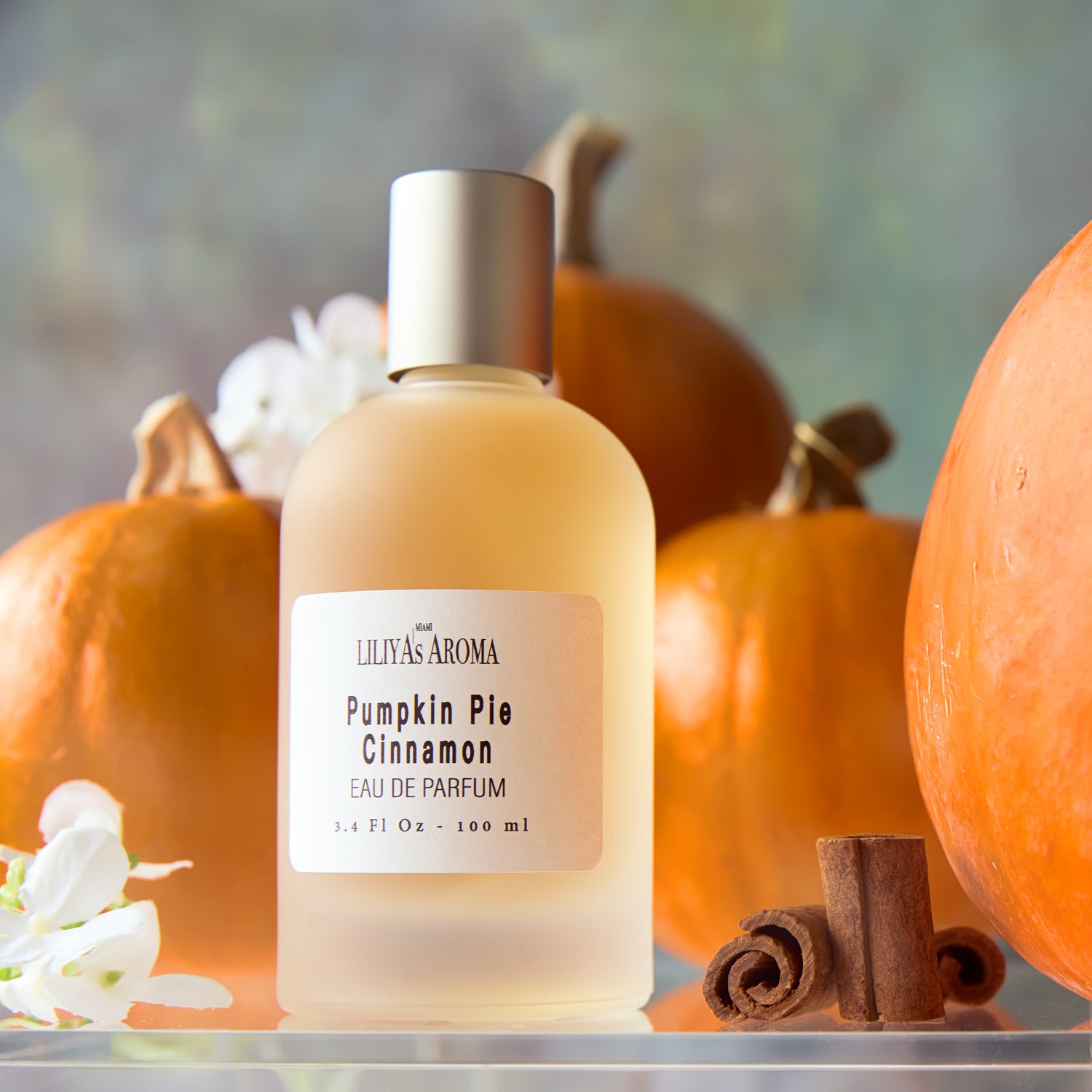 Pumpkin Pie Cinnamon Eau De Parfum – Unisex Holiday Fragrance for Thanksgiving &amp; Christmas – Warm, Spicy &amp; Sweet Scent – Long-Lasting – Perfect Seasonal Perfume for Men &amp; Women