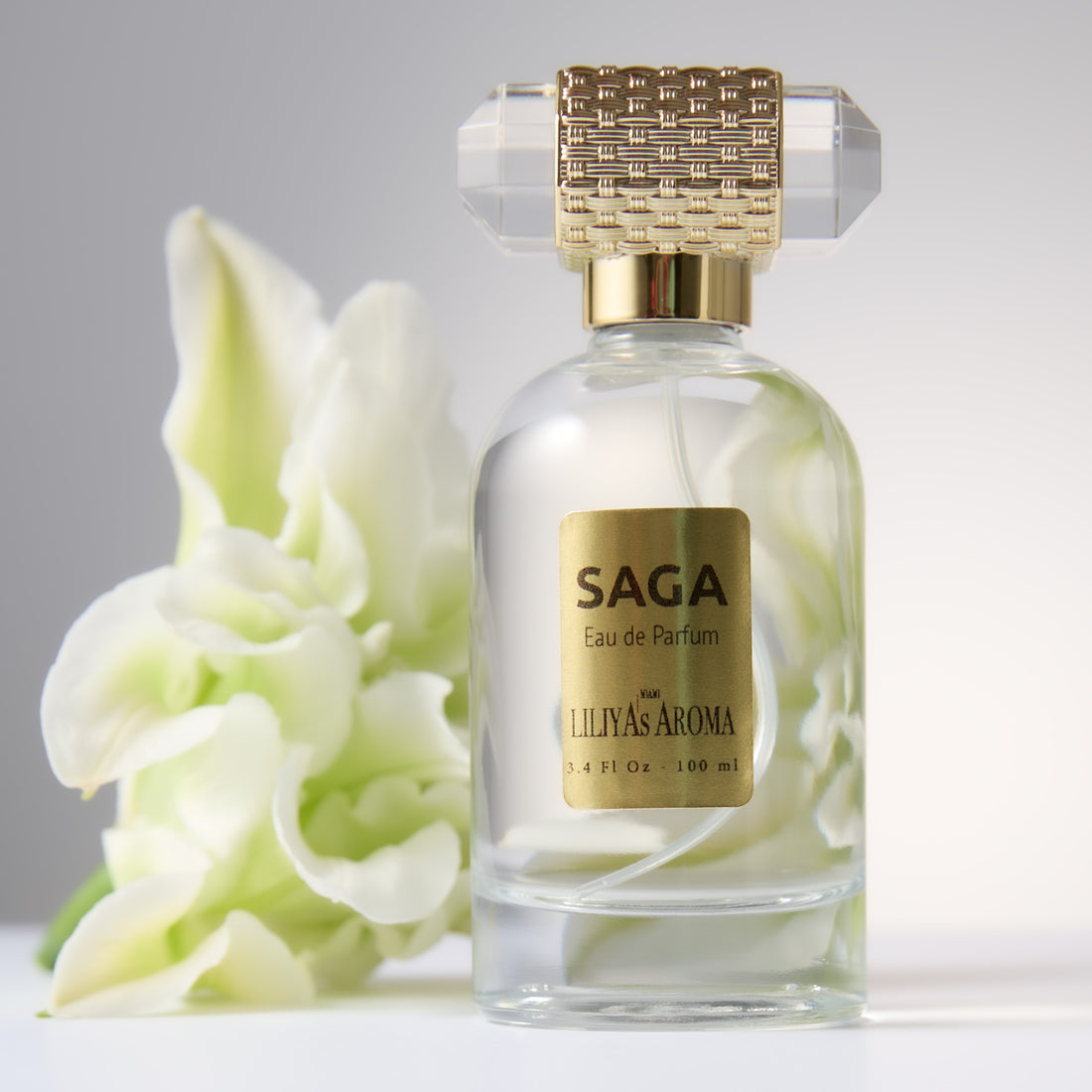 SAGA Eau de Parfum, Fragrance for Men and Women 3.4 Fl Oz