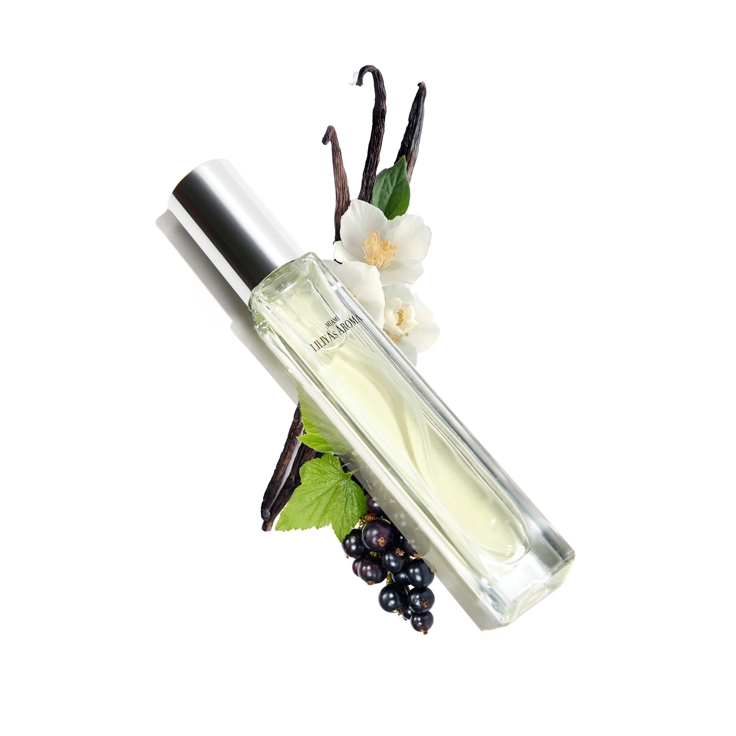 Blackberry - Vanilla - Voyage Vibes - Travel Perfume for Men and Women - Amber Fragrance 0.34 Fl Oz